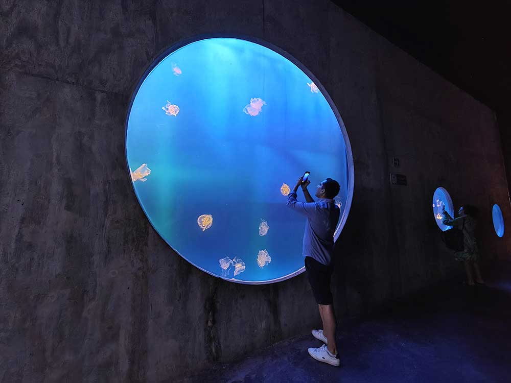 Gran Acuario Mazatlán