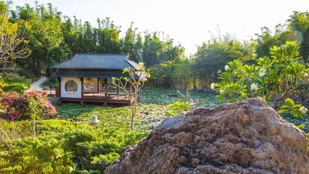 5 recorridos preciosos cerca de la CDMX por menos de $400 pesos 