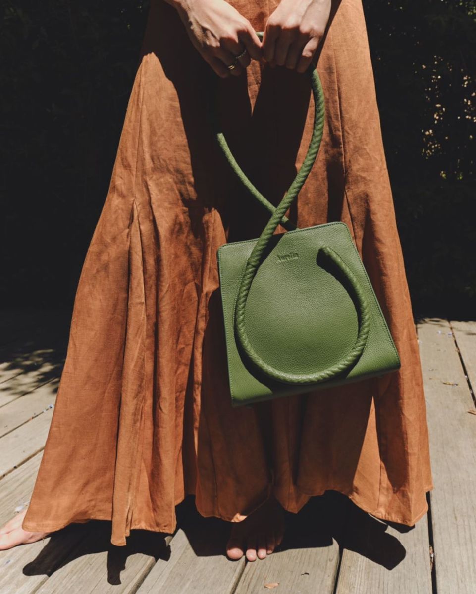 Aurelia marca mexicana 