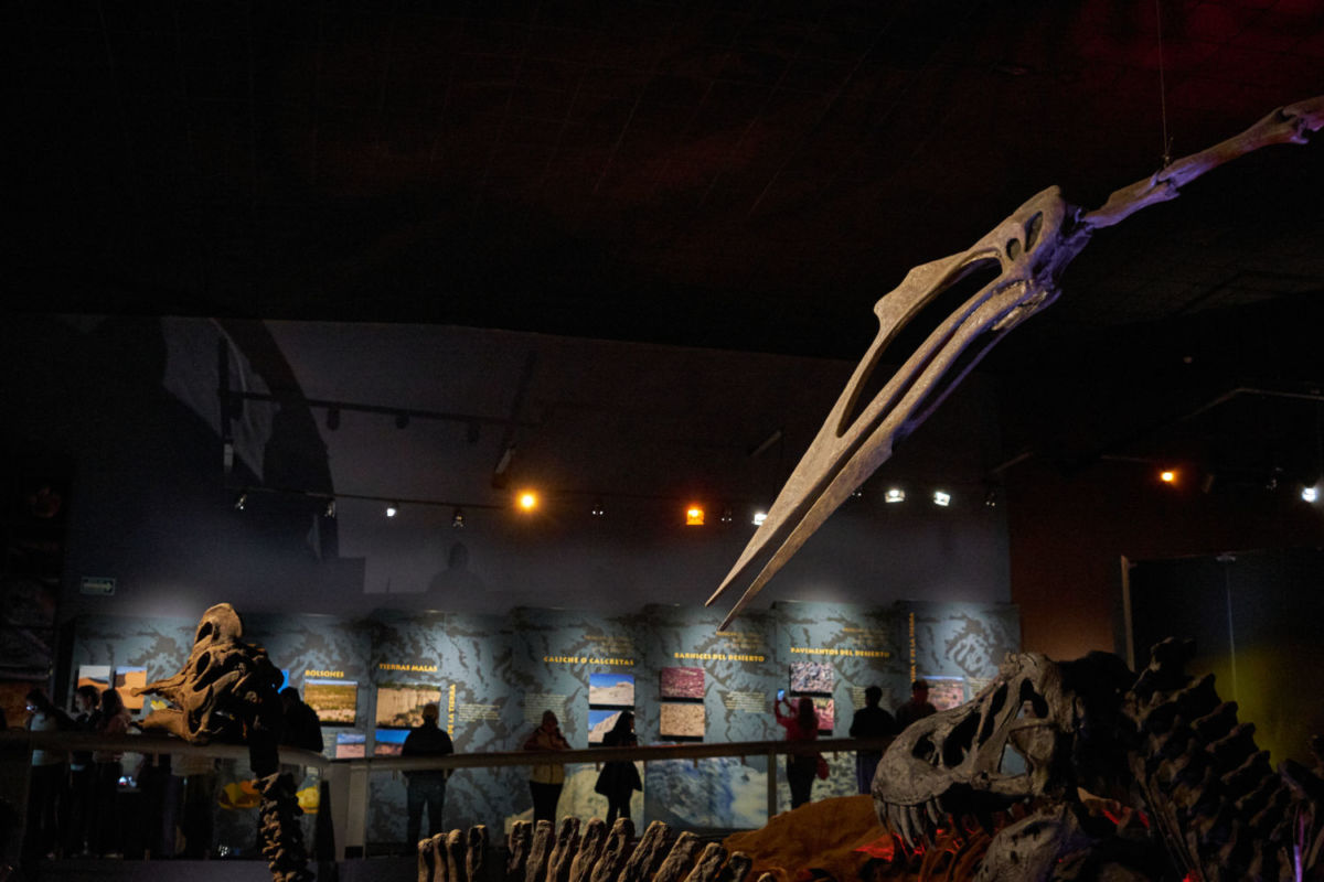 Museo del Desierto en Saltillo