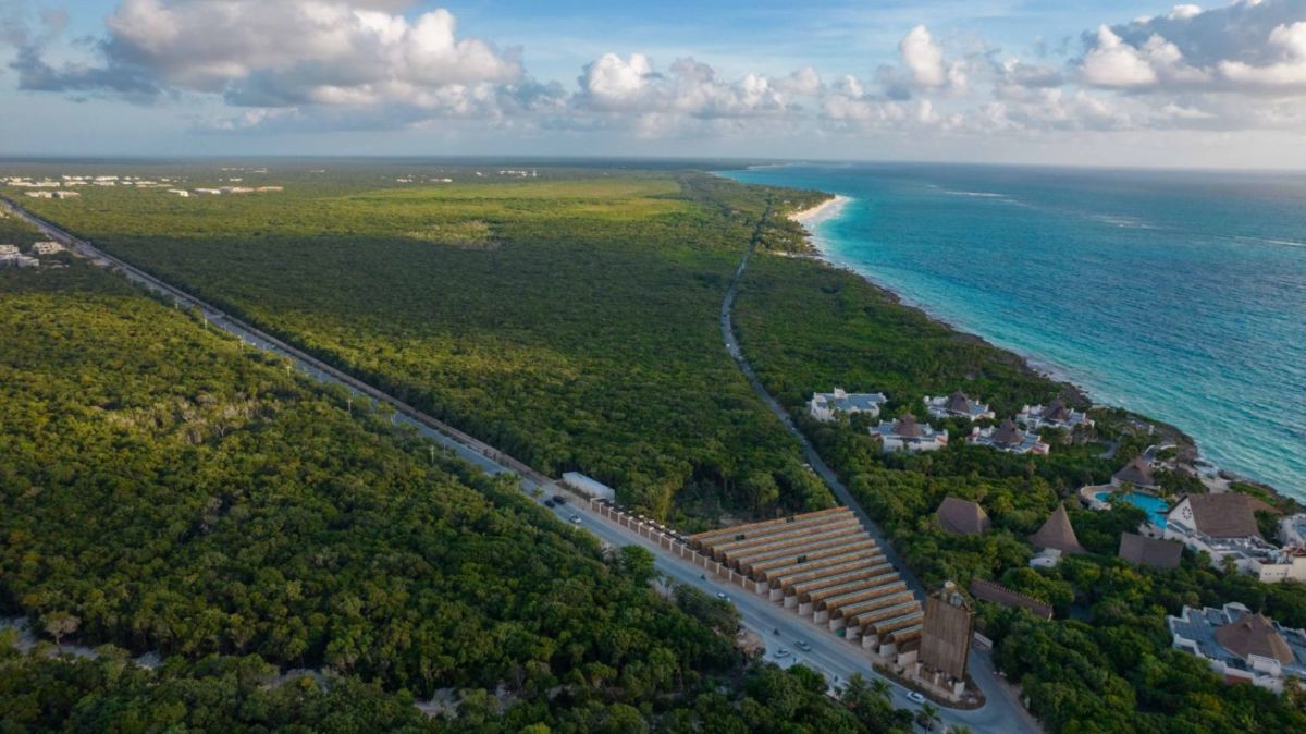 Parque del Jaguar en Tulum