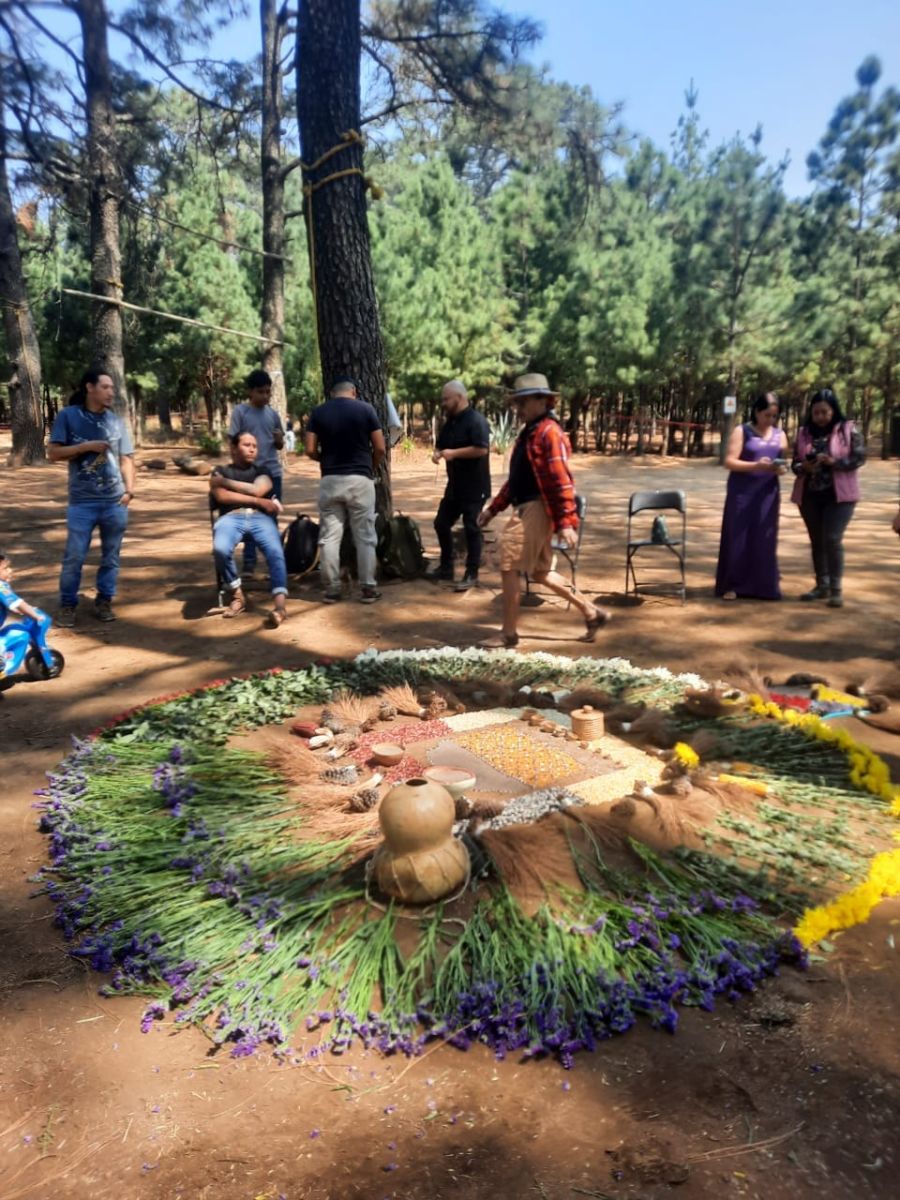 Parque en Cuernavaca 