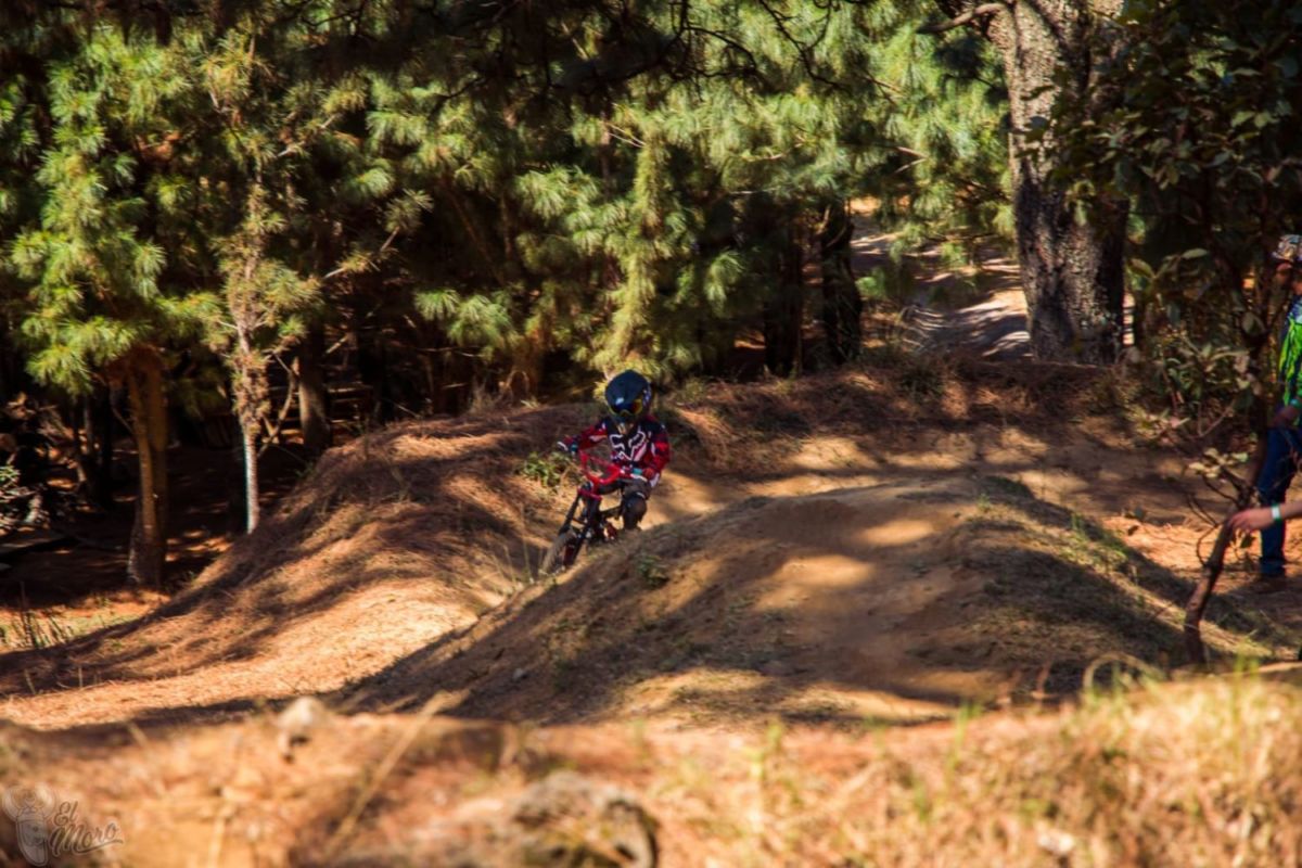 Parque Ecoturístico Chiamilpán
