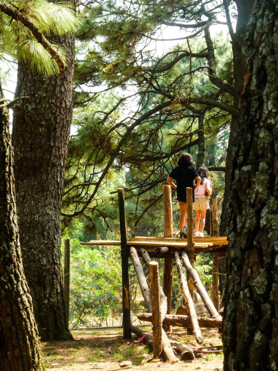 bosque en Cuernavaca 