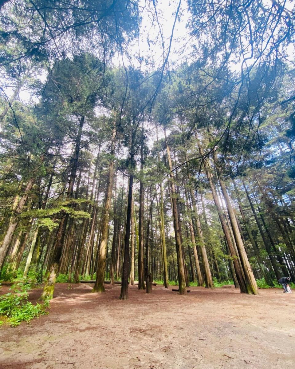 parques poco conocidos en CDMX