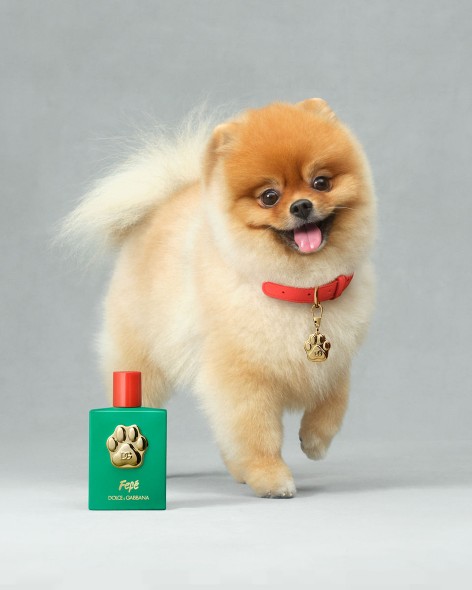 perfume para perros