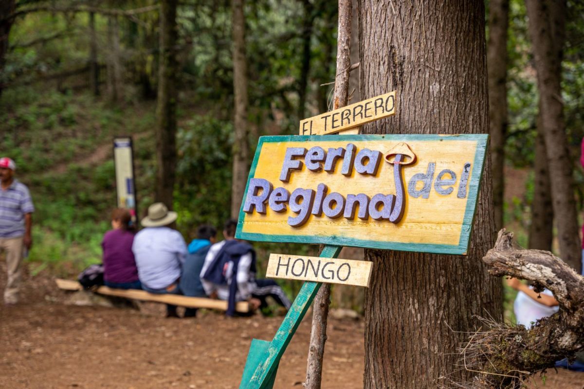 Feria Regional del Hongo en Minatitlán