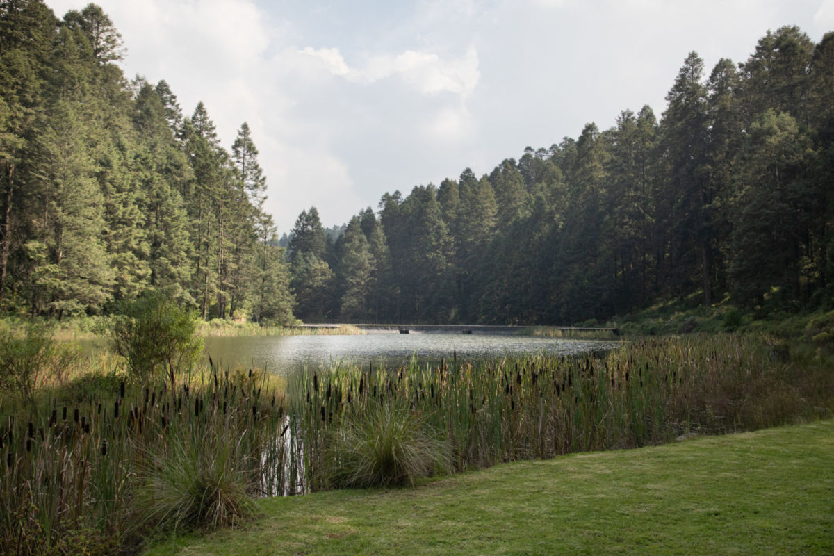 Hay un nuevo residencial en la CDMX que te permite vivir entre bosque y lagos