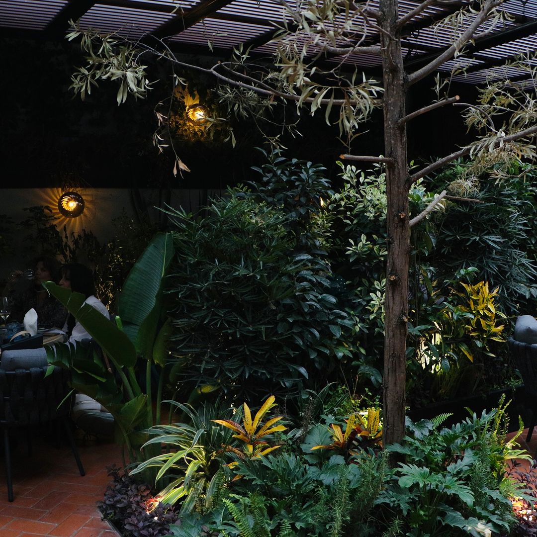 restaurante español en San Ángel