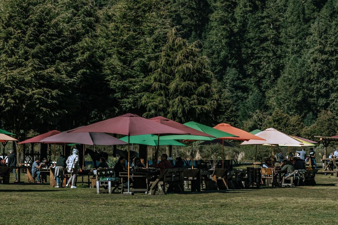 restaurantes en el Ajusco 