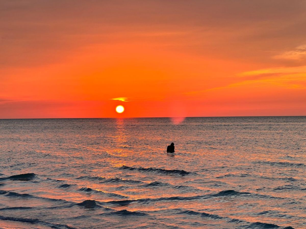 qué hacer en holbox