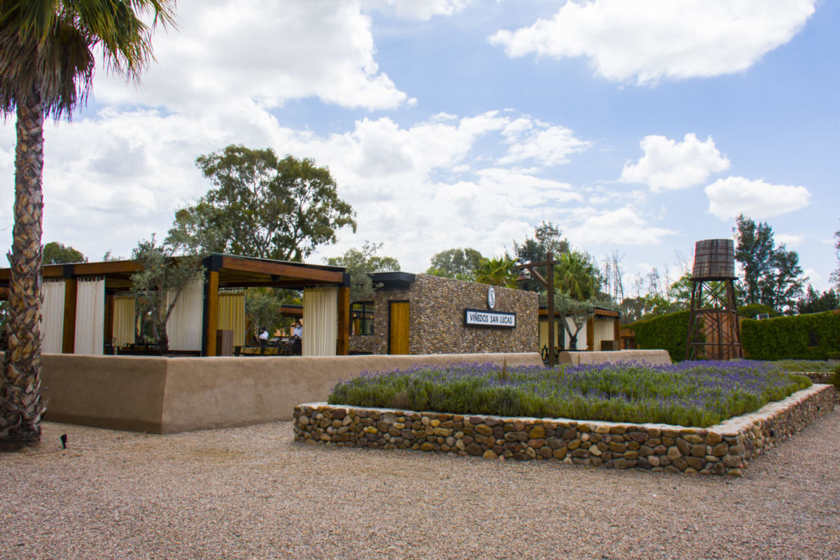 Viñedos San Lucas