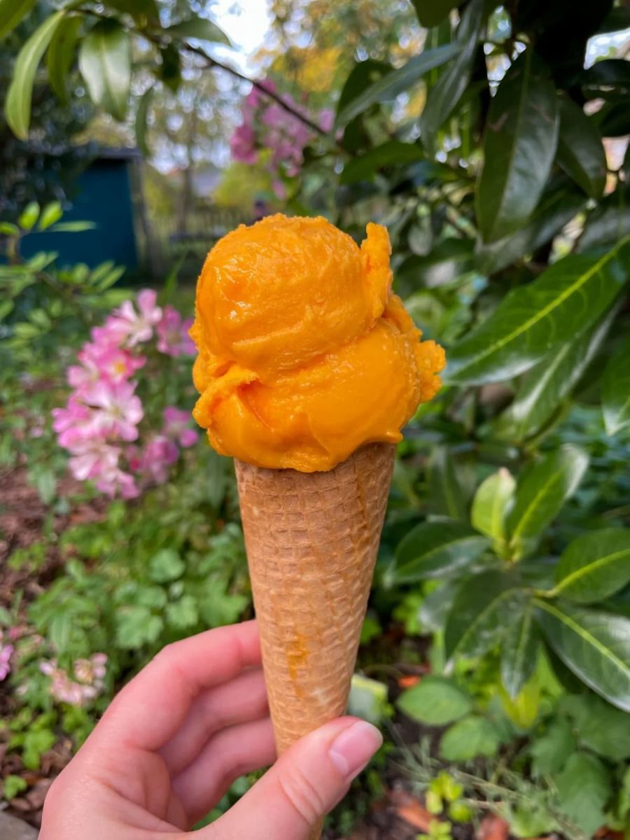 Helados de cempasúchil, Día de Muertos por doquier y un volcán con alberca en este pueblito de leyendas  