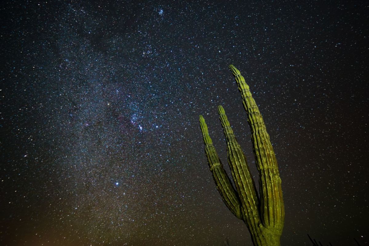 cielo estrellado en el desierto