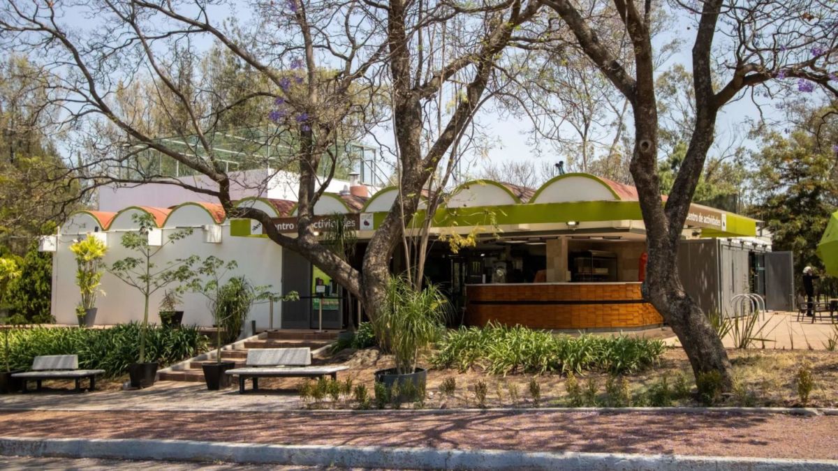 Bosque de Chapultepec