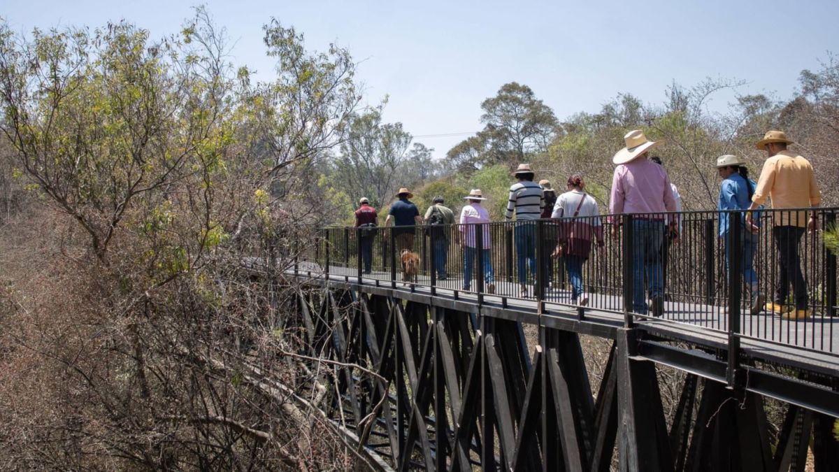 Bosque de Chapultepec
