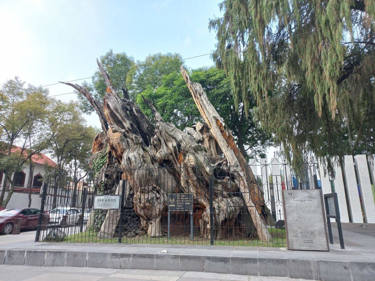 Calle más antigua de la CDMX 