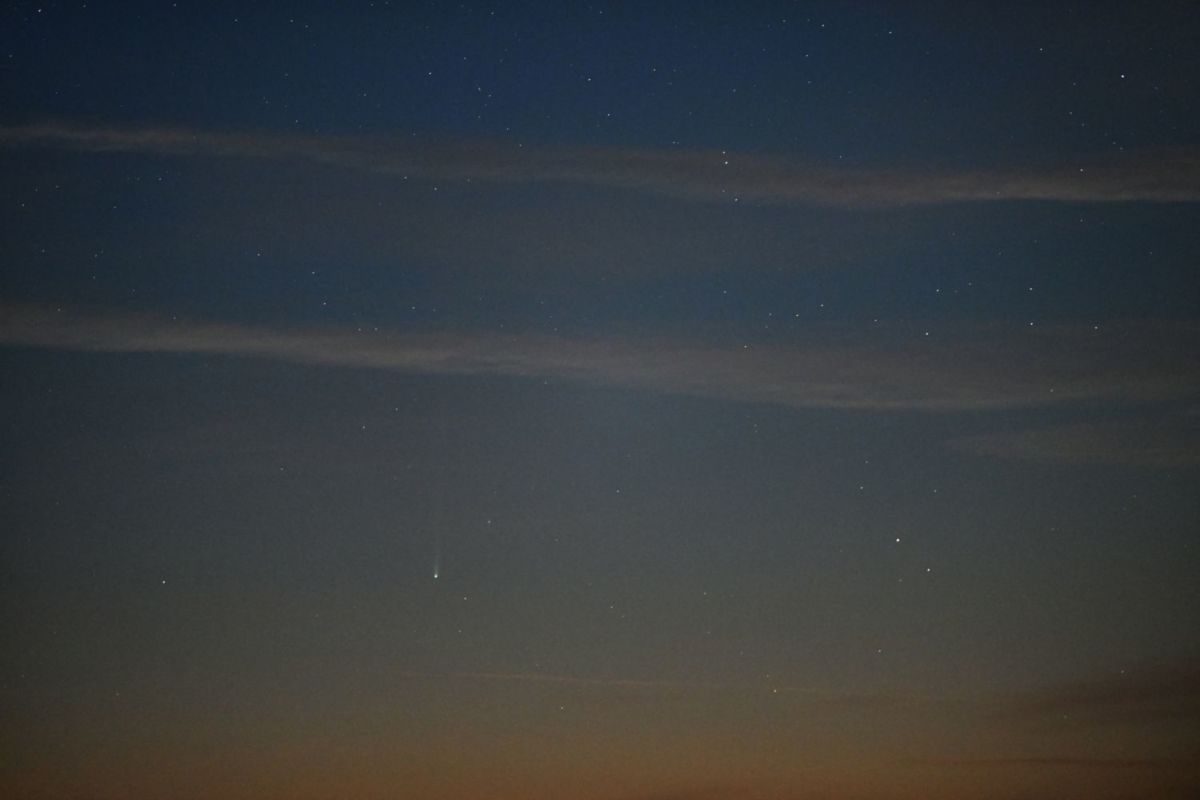 cometa nishimura