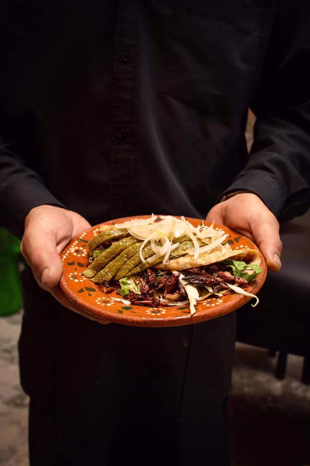 Gastronomía oaxaqueña