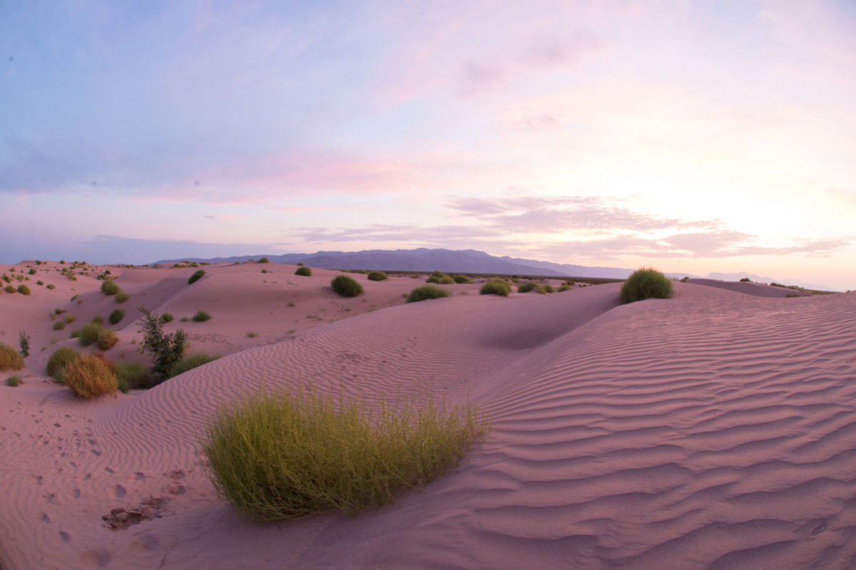 dunas de bilbao Coahuila