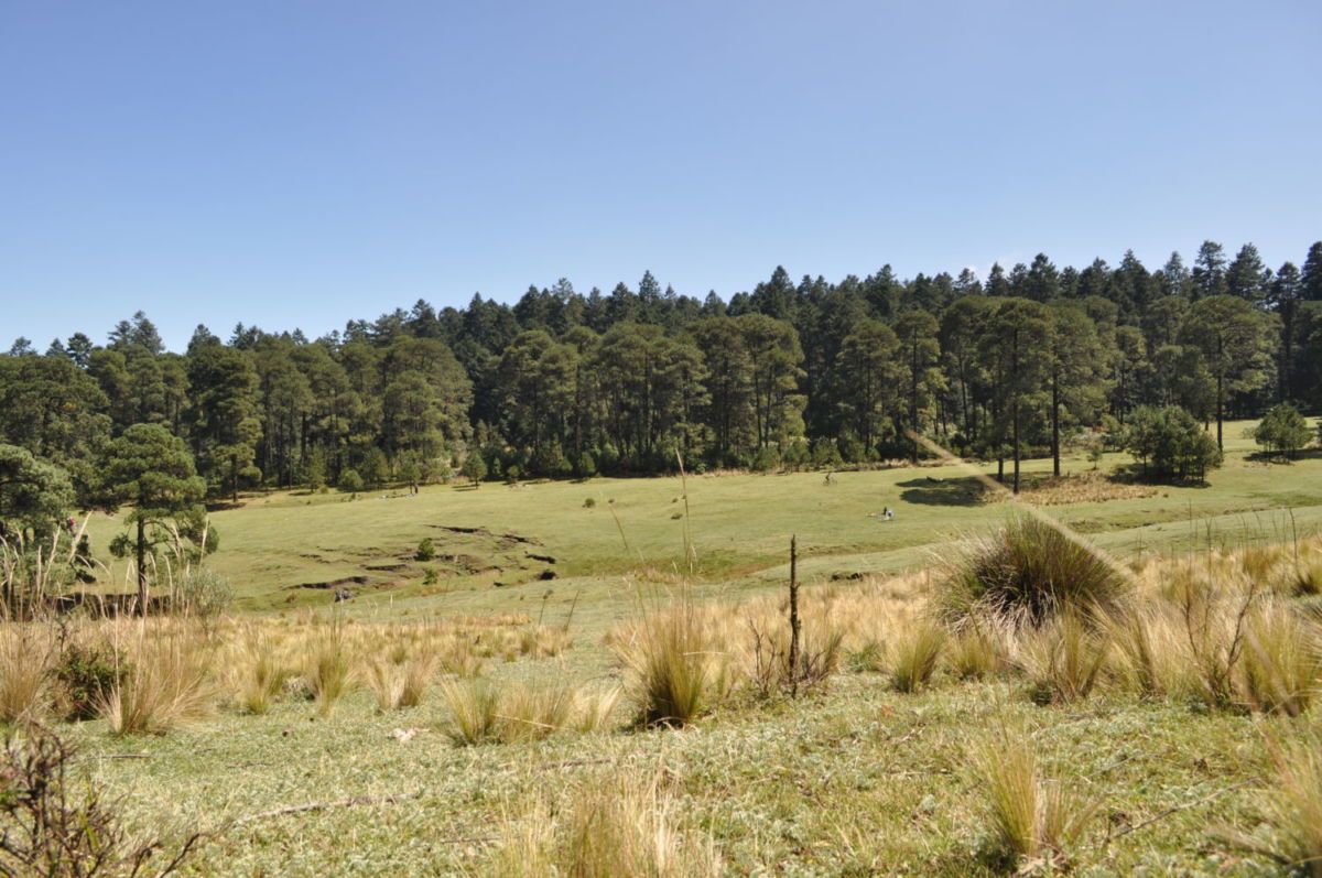 Experiencias cerca de la CDMX