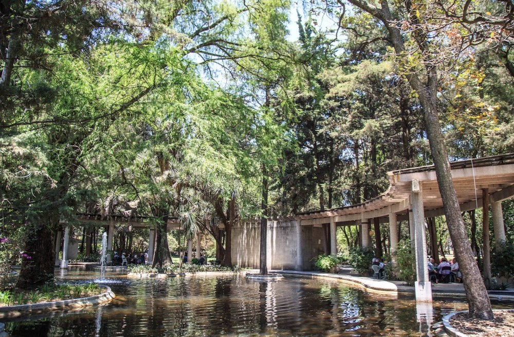 jardín para abuelitos en Chapultepec