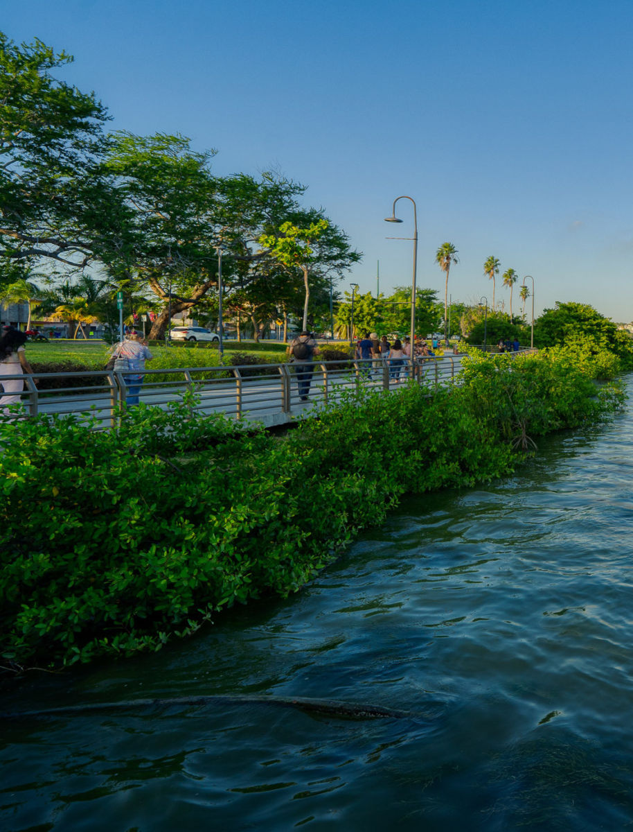 Laguna del Carpintero