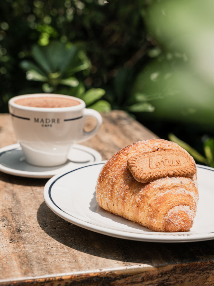 Madre Café pan de muerto 
