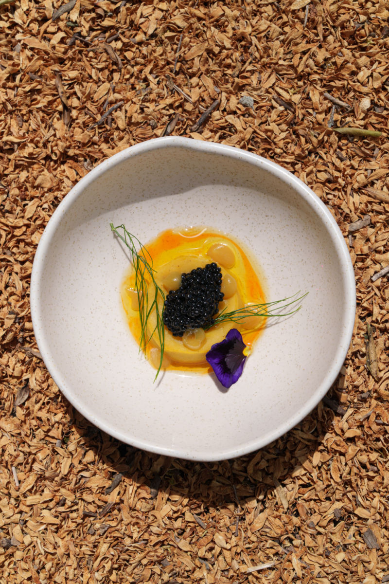 menú de otoño en CDMX