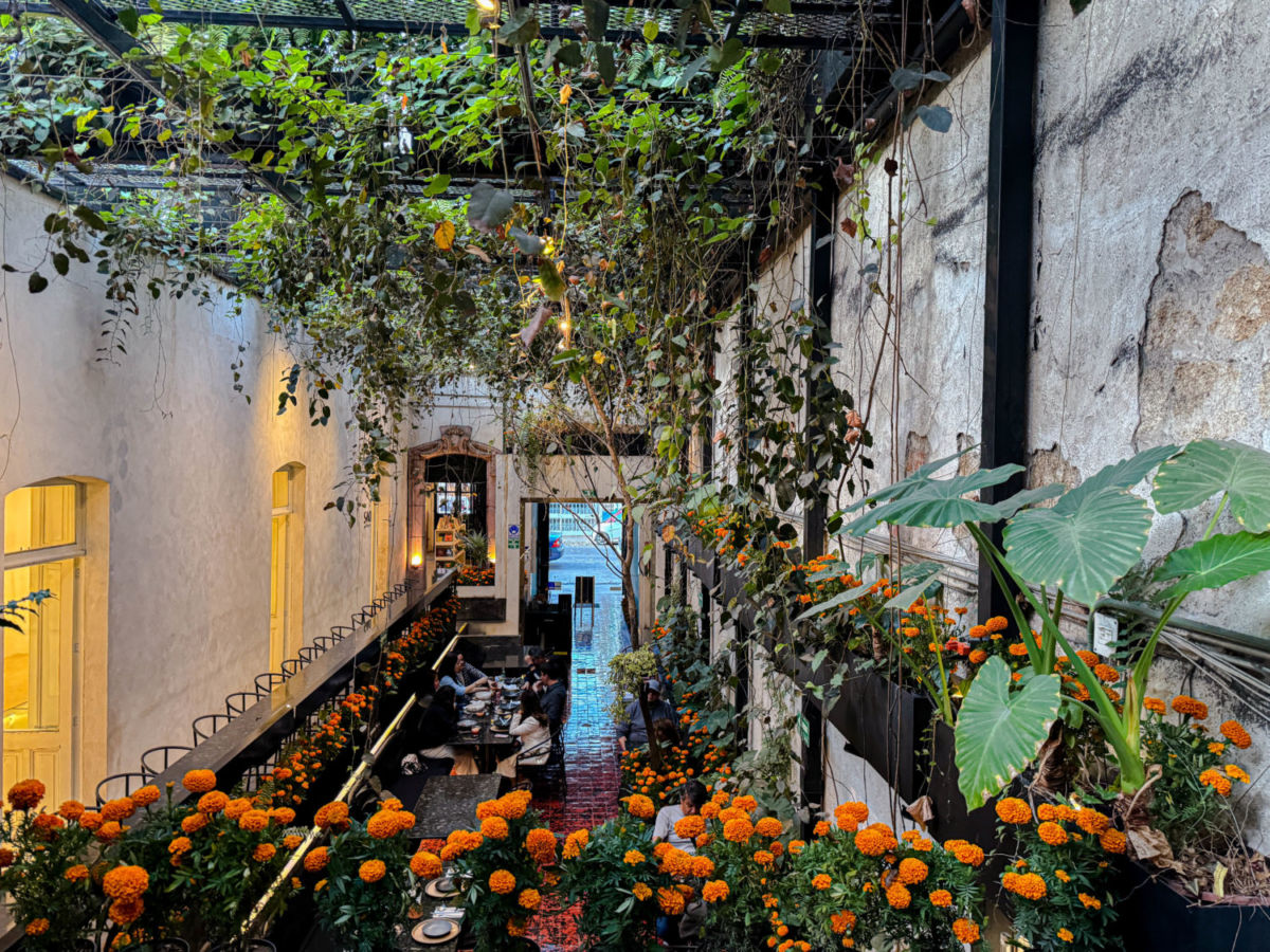 menú de otoño en CDMX