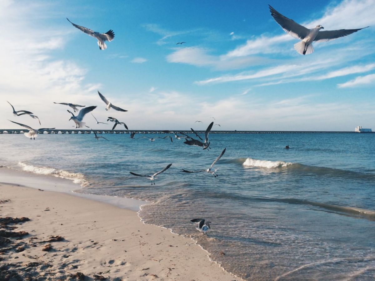 vivir en Mérida Yucatán