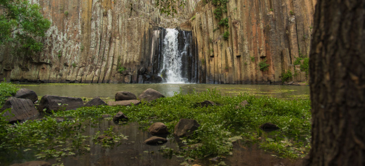miel de abeja artesanal