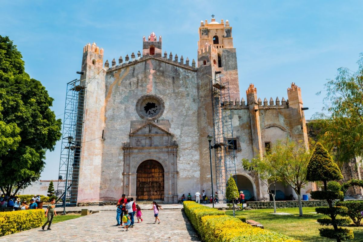 miel de abeja artesanal