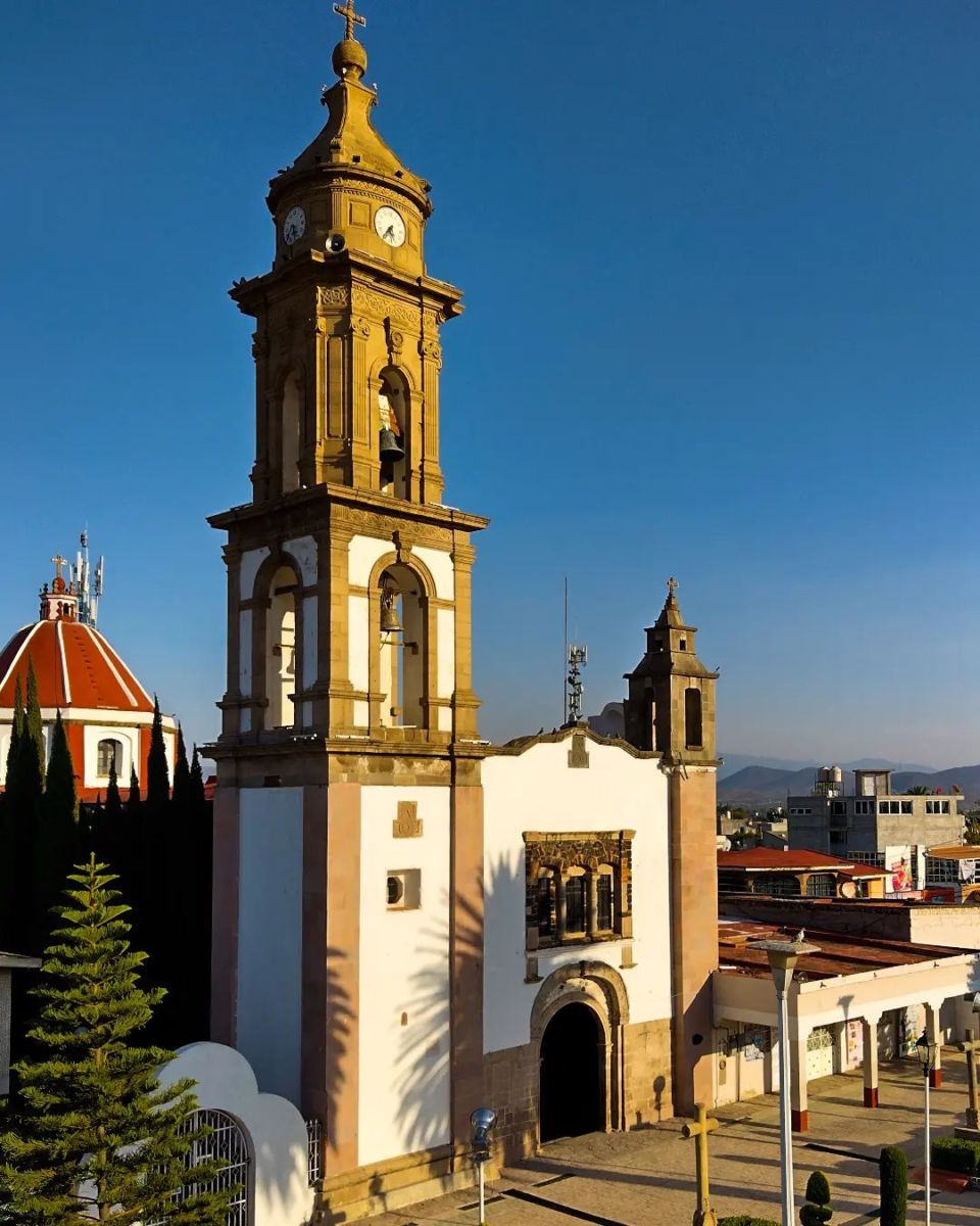 miel de abeja artesanal