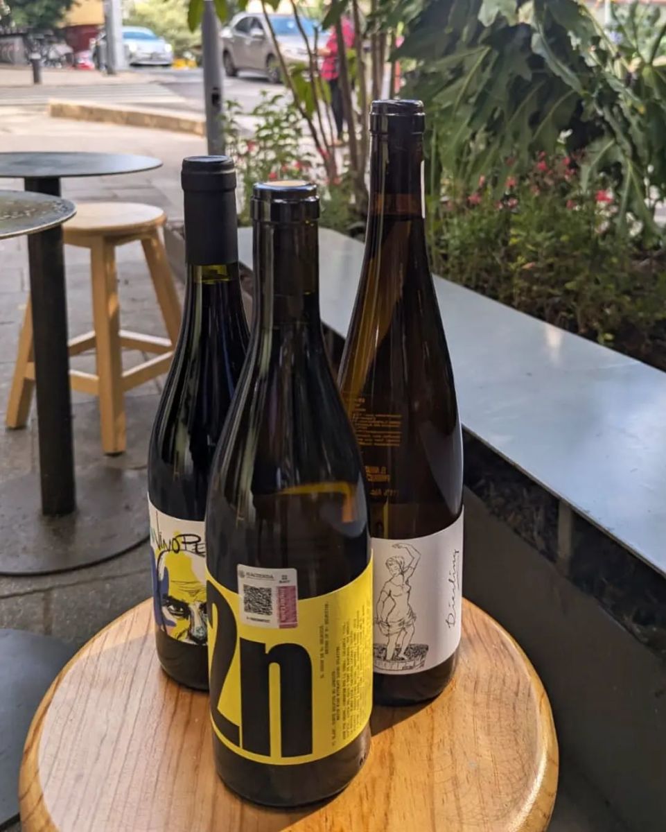 Bodega de vinos colonia Roma 
