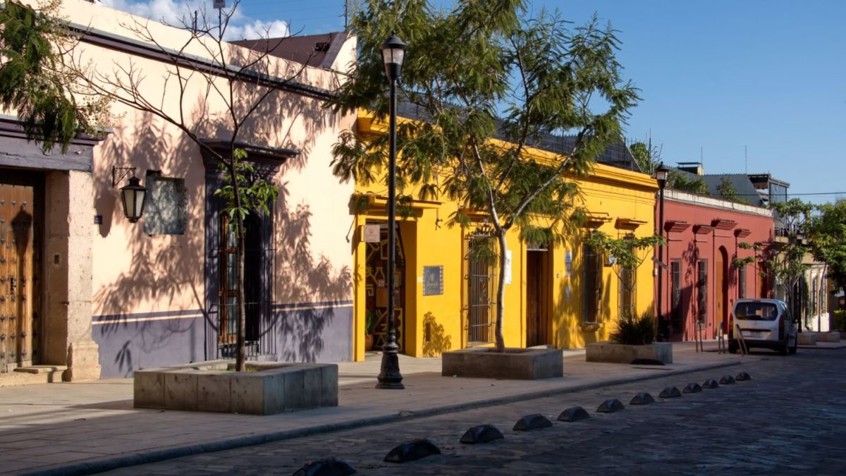 Principal productor de papaya en Mexico