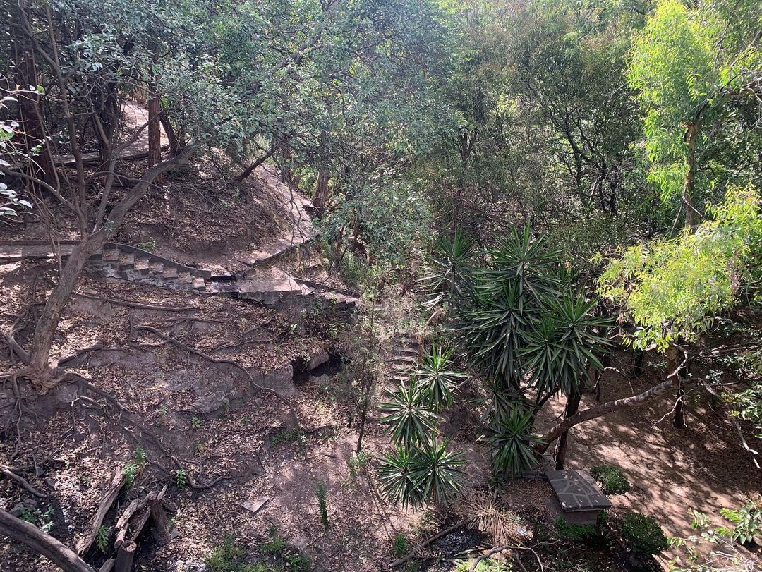 parque oculto en cdmx