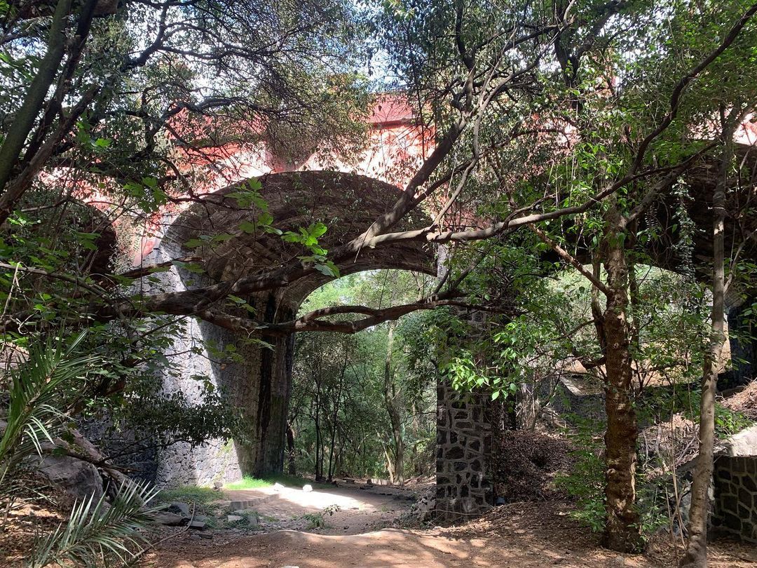 parque oculto en cdmx