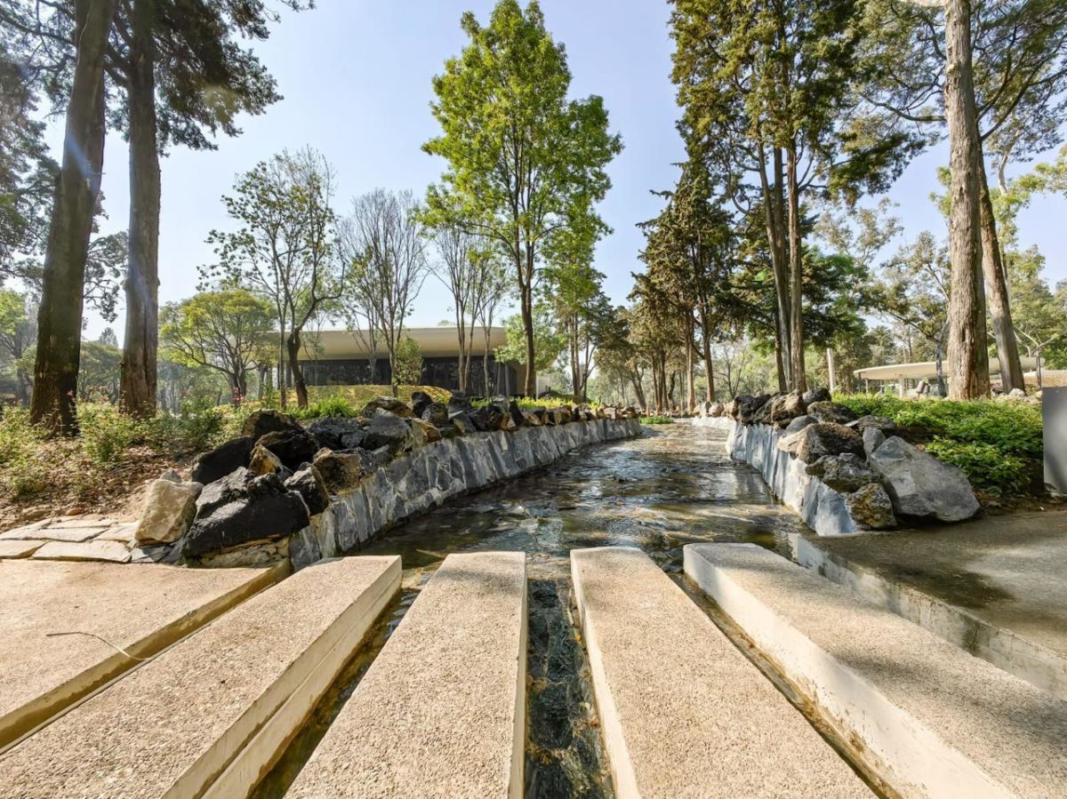 parques bonitos en cdmx