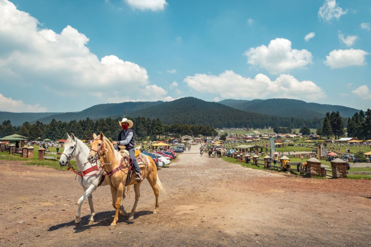 paseos a caballo cerca de cdmx
