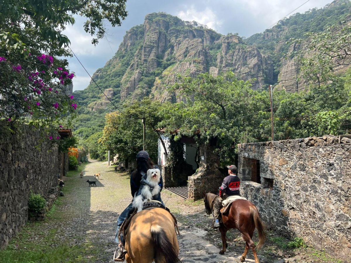 paseos a caballo cerca de cdmx