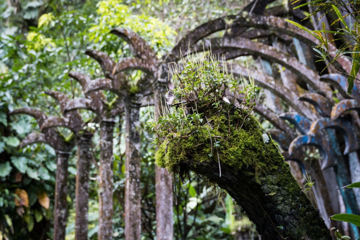Jardín Surrealista de Edward James en Xilitla