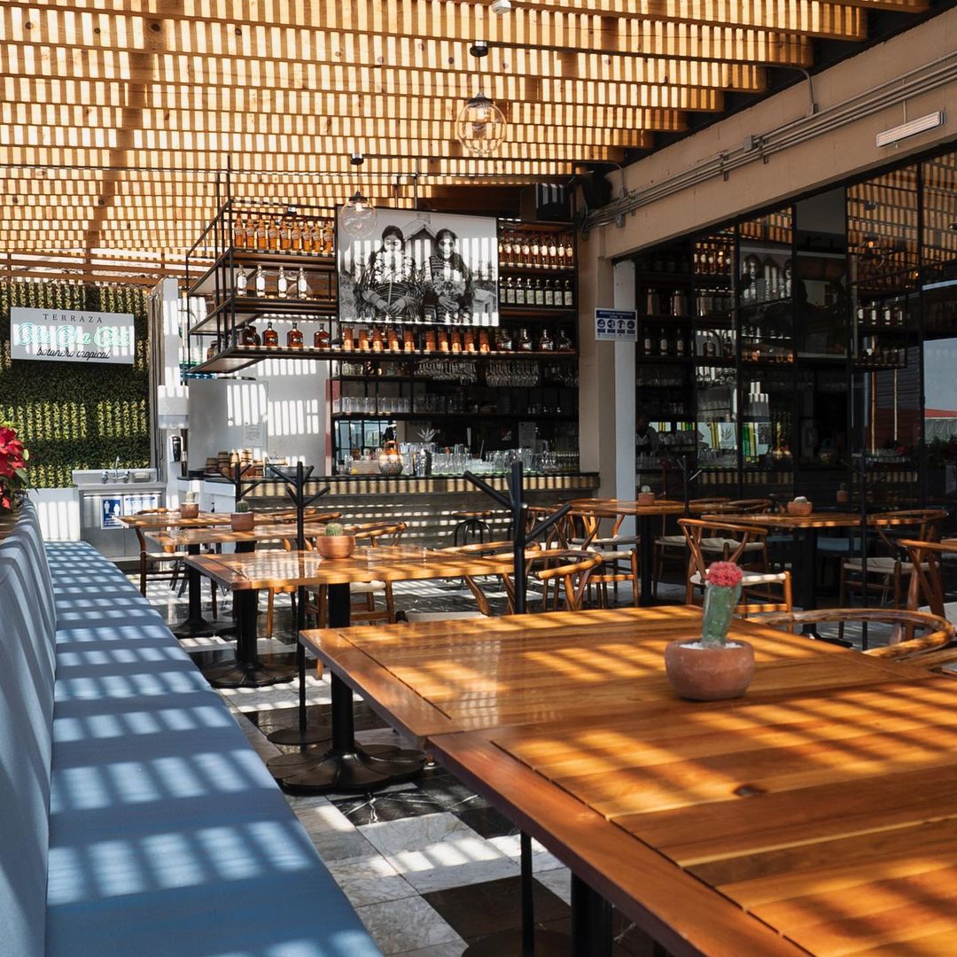 Terraza Cha Cha Chá