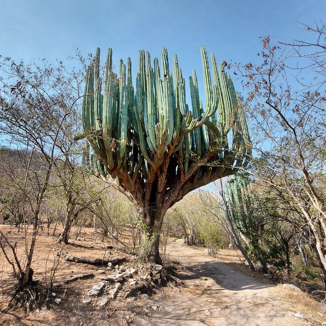 río secreto cerca de cdmx