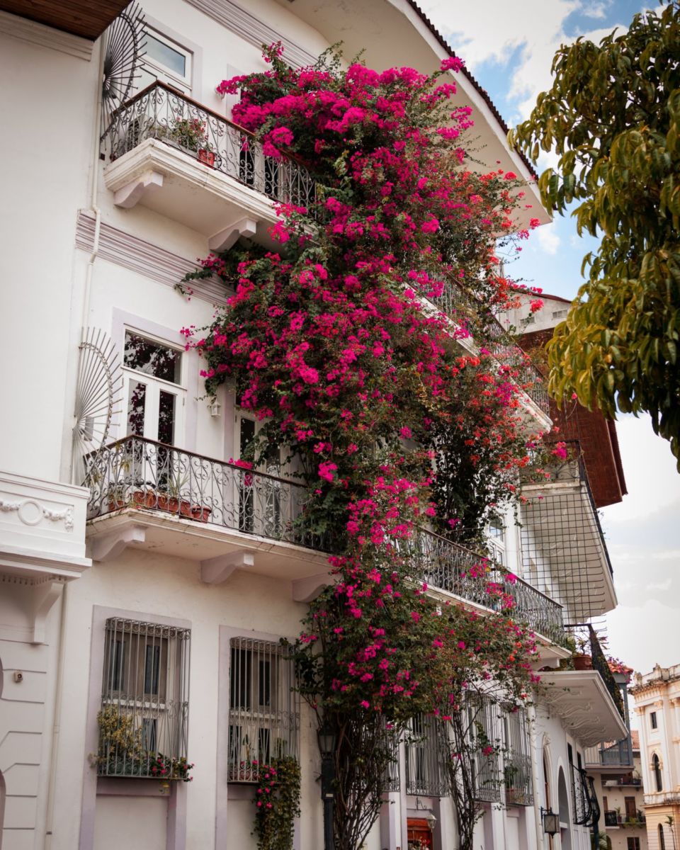 Casco viejo de la Ciudad de Panamá