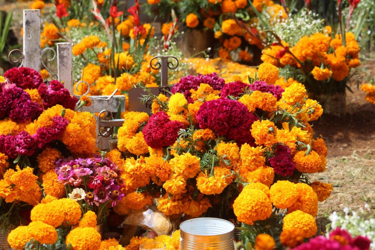 ofrenda día de muertos