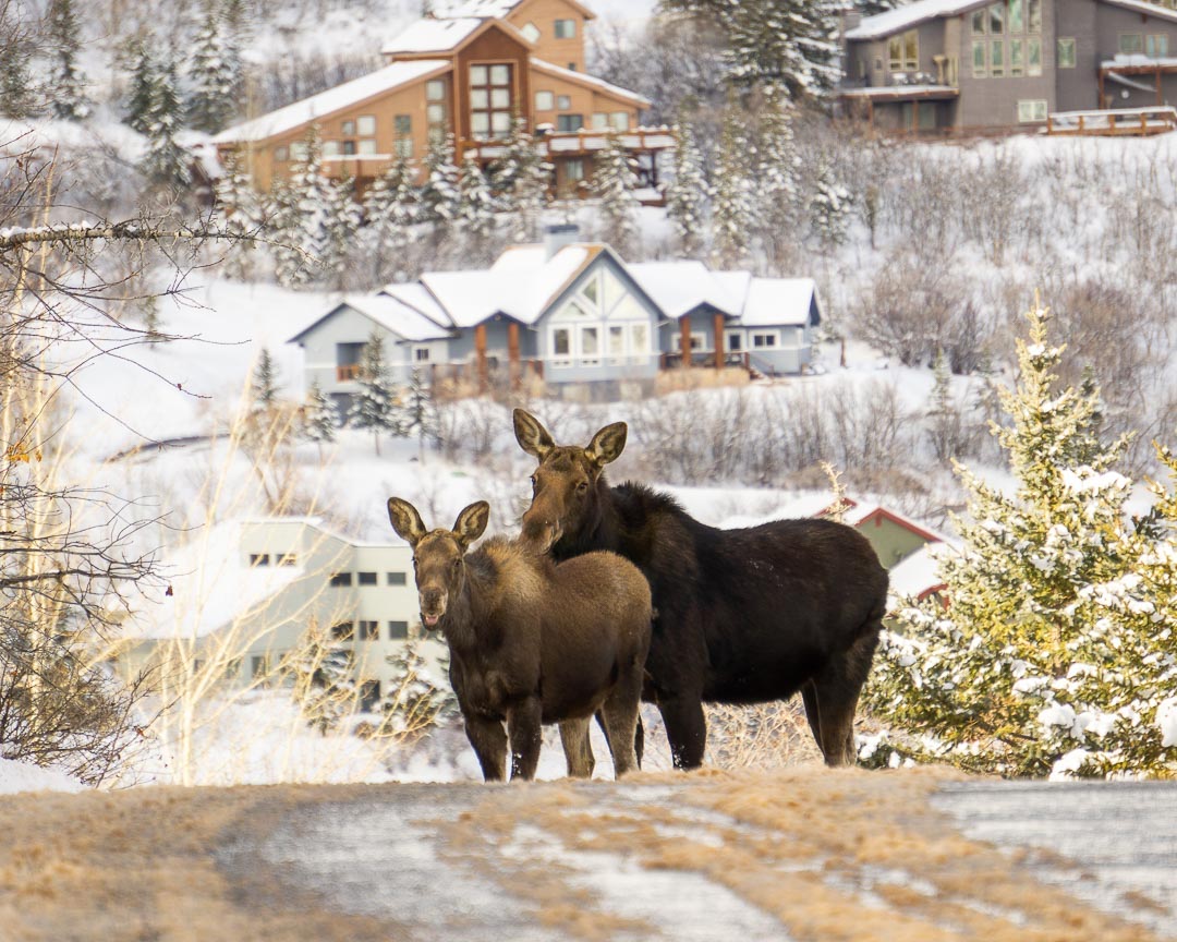 paisajes inolvidables en UTAH