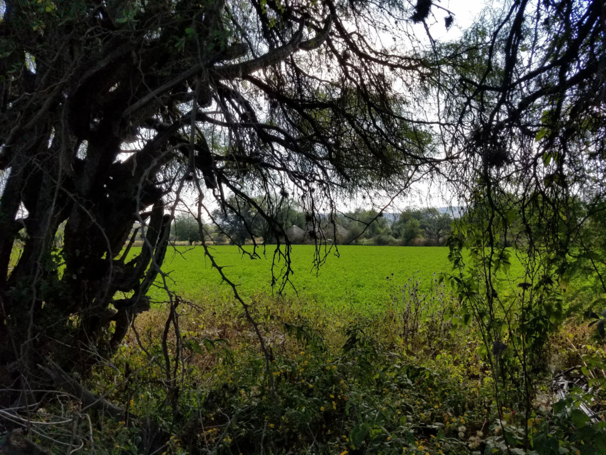 Tecozautla Pueblo Mágico