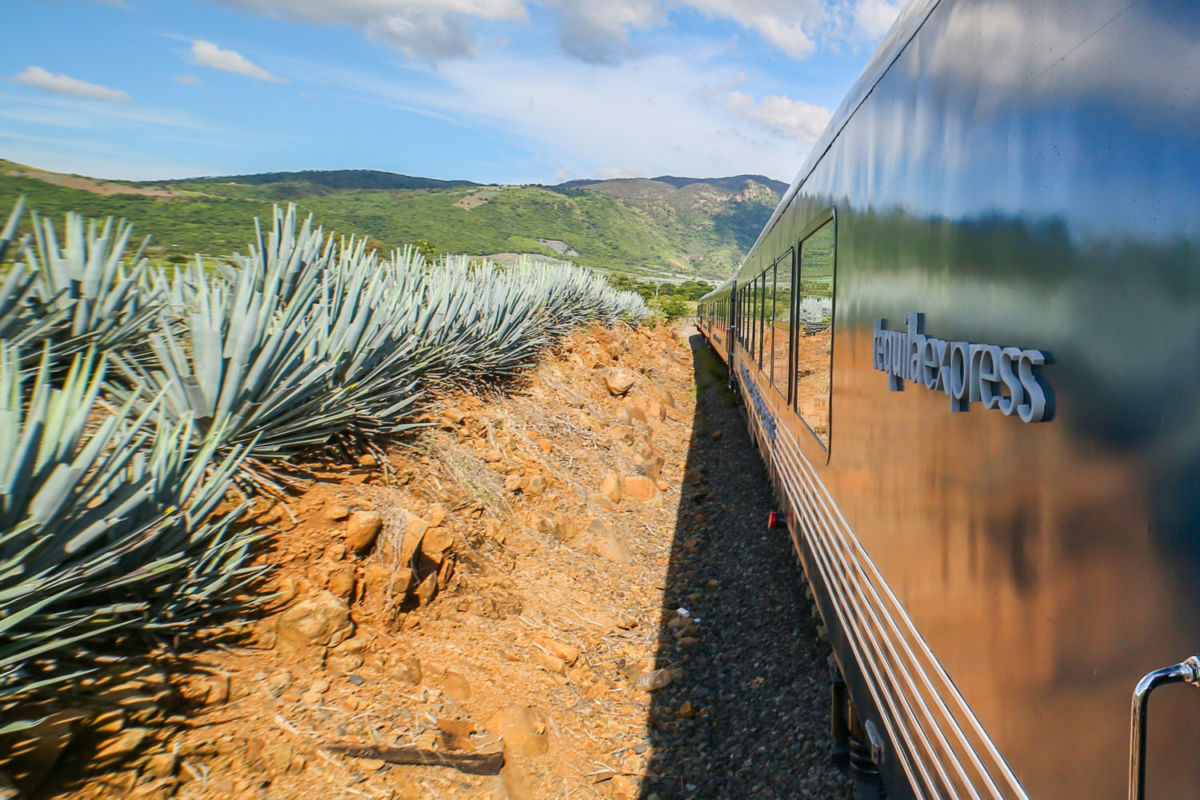 Tren Tequila Express