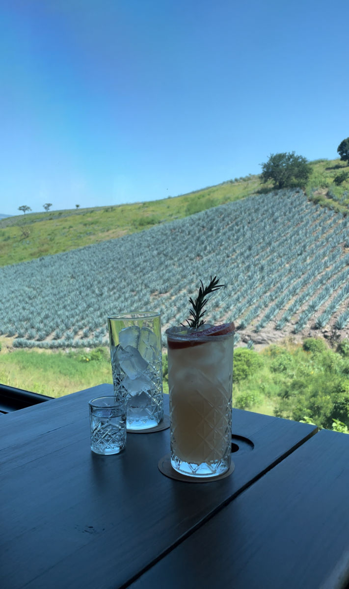 Tren Tequila Express